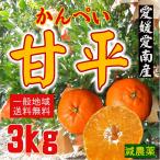 ショッピング甘平 【出荷開始】愛媛愛南産　甘平　良品　3ｋｇ　