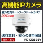 防犯カメラ IP 屋外 PoE 防滴 ネットワーク ドーム型 監視 約220万画素 赤外線搭載 電動 監視 RD-CI282SV