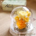 | プリザーブドフラワー | 誕生日 ホワイトデー ガラスじゃないので安心 プレゼント 花 ギフト 「ドーム」 結婚祝 退職祝 長寿祝 記念日 ブリザードフラワー