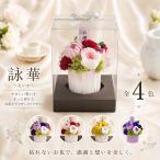 | �v���U�[�u�h�t�����[ | ���� ���d ���~ ������� ������ ���~ ���ފ� �� ���� �͂�Ȃ� �u�r�؁i�������j�v �M�t�g �t�����[�M�t�g