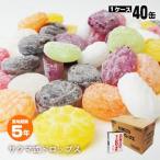 保存缶 非常食 保存食 サクマ式災害用ドロップス×40缶セット[ケース販売] 5年保存 防災グッズ 必要なもの 12月13日入荷予定