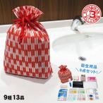防災セット 災害用レディース9点セット 女性用セット 衛生用品 スキンケア 清潔 防災グッズ 必要なもの