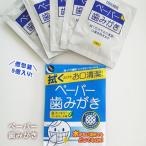 ペーパー歯みがき 5包入り 衛生 清潔 