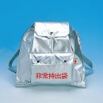 非常持出袋D（シルバー）（防災グッズ 防災袋 非常用持ち出し用品）