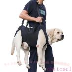  уход . собака уход для товары для ухода уход для Harness собака приспособление для ходьбы Harness домашнее животное zonchi- Harness уход сопутствующие товары маленький размер собака средний собака большой собака . собака . применение товары для домашних животных домашнее животное товары 