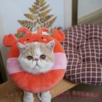  домашнее животное кошка ветеринарный воротник!S M L бесплатная доставка кошка ветеринарный воротник царапина. защита zonchi-. последующий предметы первой необходимости -тактный отсутствует уменьшение цвет S L ветеринарный воротник подсолнух 6colour