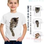  короткий рукав Kids кошка футболка симпатичный футболка кошка t рубашка 3D кошка рисунок модный zonchi- белый девочка мужчина tops чистый . принт детская одежда 