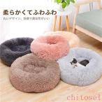  кошка bed собака домашнее животное bed кошка bed домашнее животное подушка кошка для нежный bed zonchi- кошка .dame стать bed меньше .. потертость .. кошка ... bed кошка 
