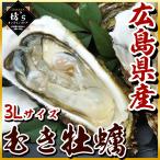 ショッピング牡蠣 【送料無料】広島県産超特大牡蠣（1kg）プリプリ絶品【3L/牡蠣/カキ/貝/海鮮/大粒/むき身/オメガ3/鍋/贈物/お祝い】