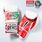Reyes/ Ray jes бокс перчатка 10 унция текстильная застёжка тип Mexico флаг 