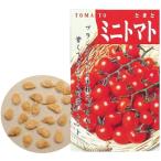 アーテック 野菜の種 ミニトマト