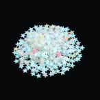 アーテック ホログラムグリッター1g 星 ホワイト