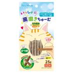 いっしょに歯磨きちゅーむ かつお 25g