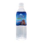 ペットの天然水 Ｖウォーター 500ml
