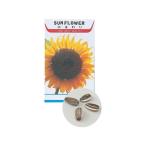 �֤μ�(�ľ���) �ҥޥ�ꡡ2741��4521718027418