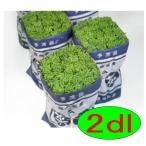 [ поступление последовательность отгрузка ]ka кошка вид рассада CR весна .2dl