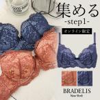 オンラインストア限定 育乳ブラ ブラジャー下着  補正 谷間 バストアップ ブラデリス BRADELIS BRNY アヴァステップ1ブラ21A1 ステップ1 アヴァタイプ  mk