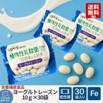 東洋ナッツ食品 ヨーグルトレーズン 10g×30袋 おかし お菓子 ヨーグルト レーズン 栄養 健康 チョコレート チョコ 1袋に10億個 乳酸菌 3.23g 鉄分 小袋 包装
