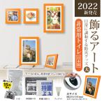 送料無料(一部地域除く) 15年保存！日本製（BR-ATT200N 飾るアート 非常用トイレ10回分+アートポスター12種セット）非常用トイレ 簡易トイレ 防災トイレ セット