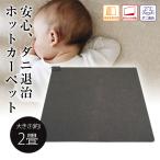 送料無料！　TEKNOS ホットカーペット 2畳用　本体176×176cm  TWA-2000B (すべり止め加工)　電気カーペット ダニ退治　片面暖房面積切替