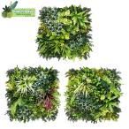 Branch leaves wall зеленый 50cm×50cm 3 шт. комплект CCGK008 орнамент человеческий труд декоративное растение искусственная зелень стена 