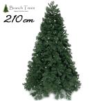 Branch Trees= высший класс Ricci 210cm елка обнаженный модель momi. дерево игла лист . толщина 2 вид структура TPX17-009-21-E