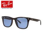 レイバン サングラス フルフィット(アジアンフィット) Ray-Ban RB4391D 601/80 65 ウェリントン ユニセックス メンズ レディース 海外正規品