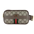  Gucci GUCCI сумка-пояс сумка "body" GGs шкив m парусина Brown 
