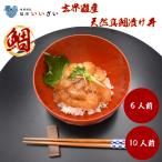 【すぐ使える５％OFFクーポン】 玄