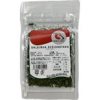 WORLD LINKS SALSINHA DESIDRATADA dry петрушка 6g