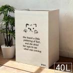 40L45Lダストボックスゴミ箱木...