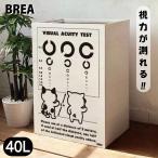 ごみ箱 視力検査ができる 木製 猫 ダストボックス 40リットル 45リットル 日本製 BREA