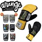 ORANGE / orange Pass case-GV чехол для пропуска билет держатель сноуборд лыжи почтовая доставка соответствует 