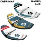 CABRINHA MANTIS Cub lina man tis5.0 flat рис Wing fo il Surf Wing кайт Wing Wing серфинг WINGFOIL 2024