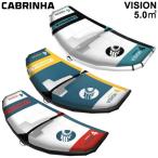 CABRINHA VISION カブリナ ヴィジョン 5.0平米 ウイングフォイル サーフウイング カイトウイング ウイングサーフィン WINGFOIL 2024
