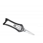 книга@. свет . порез . золотой останавливаться HT-2672