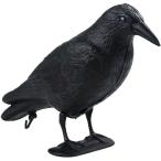 Ailunatekalas.. птица .. птица избежать птица .. товары голубь ... исключая . голубь .. товары защита от птиц меры .. веранда зона для выброса мусора парковка поле подвешивание ниже 