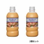 GABAN ギャバン スパイスソース スパイシーオーロラソース 500ml 2個セット