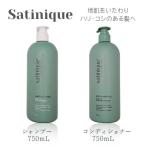 �A���E�F�C �T�e�j�[�N �G�N�X�g�� �V�����v�[ �R���f�B�V���i�[ 750ml �Z�b�g