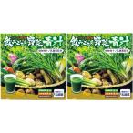 ショッピング青汁 飲みごたえ野菜青汁 30包 2箱セット 銀座ステファニー