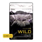  чеснок яичный желток WILD...62 лампочка входить чеснок яичный желток 