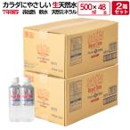 ショッピングミネラルウォーター 500ml 送料無料 48本 リセットタイム ResetTime 500ml×48本 (500ml×24本入×2箱) 7年 保存 硝酸態窒素ゼロ アルカリ 生天然水 ナチュラル ミネラルウォーター 長期 保存水 災害用水