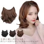 部分ウィッグ ハーフウィッグ 25cm 35