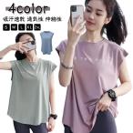  короткий рукав Dance женский футболка French рукав . пот скорость . спорт одежда йога одежда бег одежда t рубашка модный свободно body type покрытие 