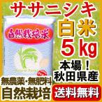 Yahoo! Yahoo!ショッピング(ヤフー ショッピング)『無農薬ササニシキ 白米 5kg 』2024年産 真空パック　長期保存用の備蓄米として 自家採種米 秋田県大潟村：石山農産