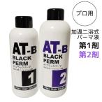 レンツアイロンにおすすめ パーマ薬液 ブ