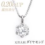 ダイヤモンド ネックレス 0.2ct プラ