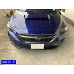 BRIGHTZ レヴォーグ VN5 超鏡面ステン�