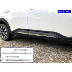 BRIGHTZ WR-V DG5 超鏡面ステンレスメッ�