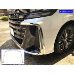 BRIGHTZ ヴェルファイア TAHA40W TAHA45W �